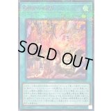 〔状態B〕霊獣の継聖【シークレットパラレル】{TW01-JP125}《魔法》