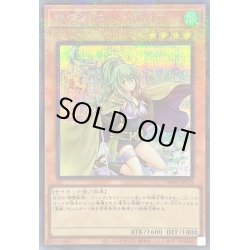 画像1: 精霊獣使いウィンダ【シークレットパラレル】{TW01-JP135}《モンスター》