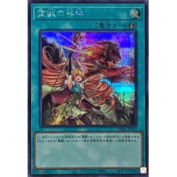 画像1: 〔状態B〕霊獣の相絆【シークレット】{TW01-JP141}《魔法》