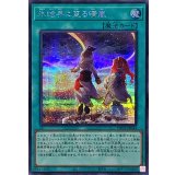 氷結界に至る晴嵐【シークレット】{TW01-JP044}《魔法》