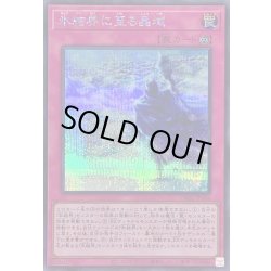 画像1: 〔状態B〕氷結界に至る晶域【シークレット】{TW01-JP004}《罠》