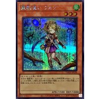 〔状態B〕霊獣使いウェン【シークレット】{TW01-JP128}《モンスター》