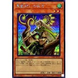 〔状態A-〕霊獣使いの長老【シークレット】{TW01-JP127}《モンスター》