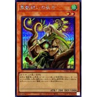 〔状態A-〕霊獣使いの長老【シークレット】{TW01-JP127}《モンスター》