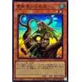 〔状態A-〕霊獣使いの長老【スーパー】{TW01-JP127}《モンスター》
