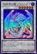 〔状態A-〕氷結界の龍ブリューナク【スーパー】{TW01-JP036}《シンクロ》
