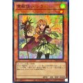 〔状態A-〕霊獣使いレラ【スーパーパラレル】{TW01-JP126}《モンスター》