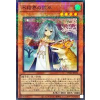 〔状態A-〕氷結界の依巫【スーパーパラレル】{TW01-JP032}《モンスター》