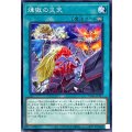 〔状態B〕煉獄の災天【ノーマル】{TW01-JP117}《魔法》