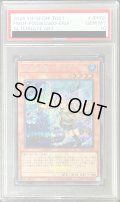 〔PSA10鑑定済〕(新)憑依装着エリア(ロゴ)【シークレット】{TDS1-JPP02}《モンスター》
