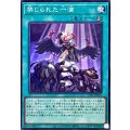 禁じられた一滴【スーパー】{UT01-JP051}《魔法》