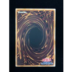 画像9: 『トークンあり』side:UNITYスペシャルカードセット(ブラックマジシャン&ブラックマジシャンガール)【-】{-}《その他》