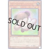 〔状態B〕パッチワークファーニマル【ウルトラ】{VJMP-JP119}《モンスター》