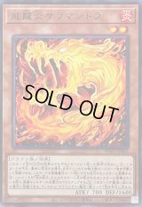 飛龍炎サラマンドラ【レア】{WPP5-JP002}《モンスター》