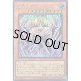〔状態B〕結晶神ティスティナ【シークレット】{WPP5-JP014}《モンスター》