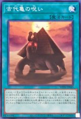 古代亀の呪い【ノーマル】{WPP6-JP069}《魔法》