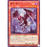 腐死鳥ヴァルコプス【ノーマル】{WPP6-JP050}《モンスター》