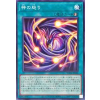 神の怒り【ノーマル】{WPP6-JP008}《魔法》