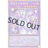 〔状態A-〕優麗なる霊鏡姫【プリズマティックシークレット】{WPP6-JP063}《融合》