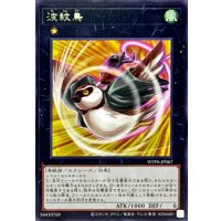 波紋鳥【レア】{WPP6-JP067}《エクシーズ》
