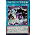 第55次GMX試験報告【ノーマル】{WPP7-JP037}《魔法》