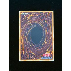 画像7: 四天の龍ダークリベリオンエクシーズドラゴン【グランドマスター】{LOCR-JP015}《エクシーズ》