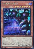 闇魔導の覇王【シークレット】{YAC1-JP018}《モンスター》