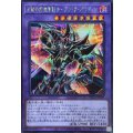 波動の超魔導剣士ブラックパラディン【シークレット】{YAC1-JP009}《融合》