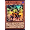 破壊竜ガンドラG【スーパー】{YAC1-JP030}《モンスター》