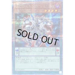 画像1: 〔状態B〕DDオルトロス【クォーターセンチュリーシークレット】{QCCP-JP075}《モンスター》