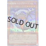 〔状態B〕暗黒竜コラプサーペント【クォーターセンチュリーシークレット】{QCCP-JP186}《モンスター》