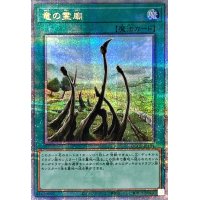 〔状態A-〕竜の霊廟【クォーターセンチュリーシークレット】{QCCP-JP194}《魔法》