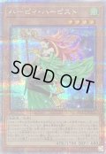 〔状態A-〕ハーピィハーピスト【クォーターセンチュリーシークレット】{QCCP-JP122}《モンスター》