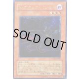 〔状態D〕Nブラックパンサー【レリーフ】{POTD-JP005}《モンスター》