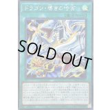 ☆アジア☆ドラゴン導きの呼笛【シークレット】{アジアLOCR-JP003}《魔法》