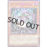 〔状態A-〕カオスソーサラー【ノーマルパラレル】{24EP-JP302}《モンスター》