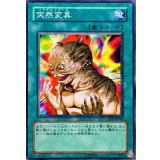 〔状態A-〕突然変異【ノーマル】{EE1-JP038}《魔法》