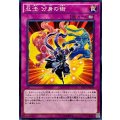 忍法分身の術【ノーマル】{AT14-JP008}《罠》