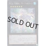☆アジア☆No21氷結のレディジャスティス【シークレット】{アジアPP17-JP018}《エクシーズ》