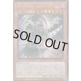 〔状態B〕☆アジア☆ダークネスシムルグ【シークレット】{アジアRIRA-JP022}《モンスター》