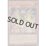 〔状態B〕☆アジア☆光霊神フォスオラージュ【シークレット】{アジアFLOD-JP026}《モンスター》