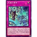 光器の瀑布【ノーマル】{DBGV-JP010}《罠》