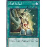 超再生能力【ノーマル】{DBMF-JP043}《魔法》