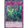 やぶ蛇【ノーマルパラレル】{DBMF-JP045}《罠》