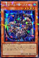 〔状態A-〕☆アジア☆シャドールビースト【シークレットパラレル】{アジアTW03-JP070}《モンスター》