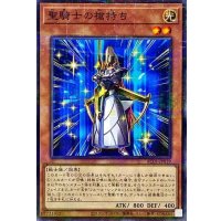 聖騎士の槍持ち【ノーマルパラレル】{AC01-JP019}《モンスター》