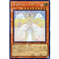 〔状態B〕☆アジア☆精霊神后ドリアード【シークレット】{アジアCIBR-JP039}《モンスター》