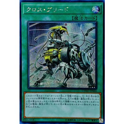 〔状態B〕☆アジア☆クロスブリード【シークレット】{アジアCYHO-JP066}《魔法》