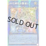 ☆アジア☆四花繚乱の霊使い【プリズマティックシークレット】{アジアBLZD-JP050}《リンク》