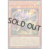 ☆アジア☆耀聖の風詩レギナ【シークレット】{アジアBLZD-JP014}《モンスター》